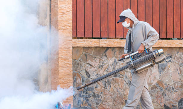 شركة مكافحة حشرات فى التجمع الخامس